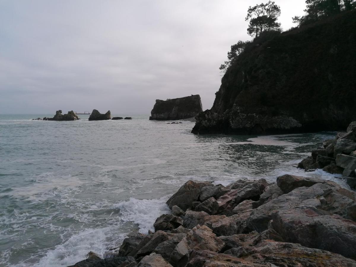 T1Bis, 100M De La Belle Plage De Morgat Crozon Eksteriør billede